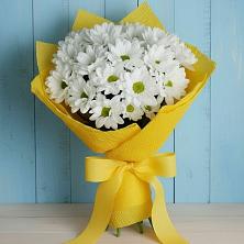 Букет цветов из:  Хризантемы в Протекино