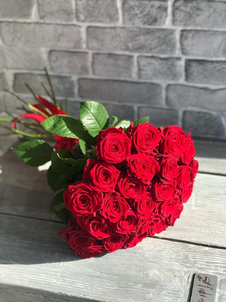 Букет Красные розы Фридом в Протекино