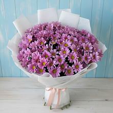 Букет цветов из:  Хризантемы в Протекино