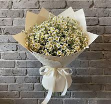 Букет цветов из:  Ромашки в Протекино