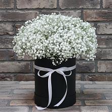 Цветочная композиция из Гипсофила в шляпной коробке #REPLACE_PRED# Протекино