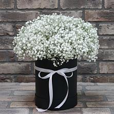 Цветочная композиция из Гипсофила в шляпной коробке в Протекино