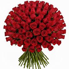 Букет Красные розы Чери Лав в Протекино